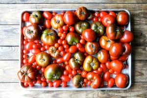 tomaten-tableau_tomatoes